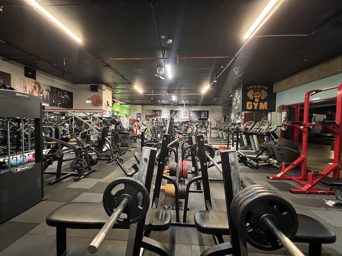 Golden Leo Gym