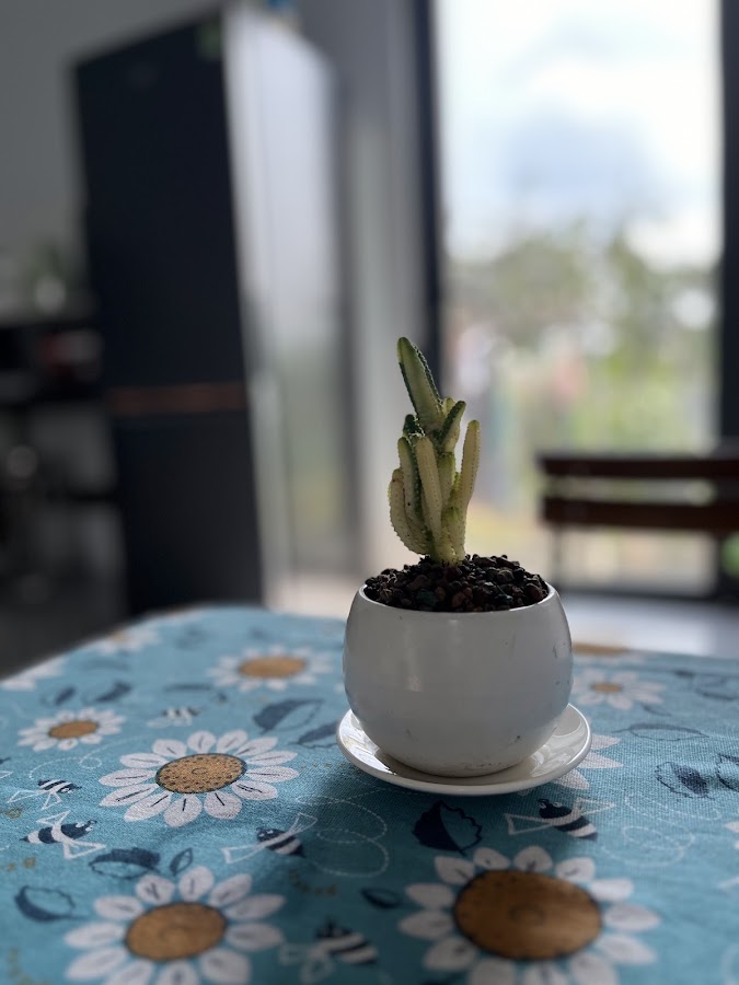 Quán cà Phê 6 Thức