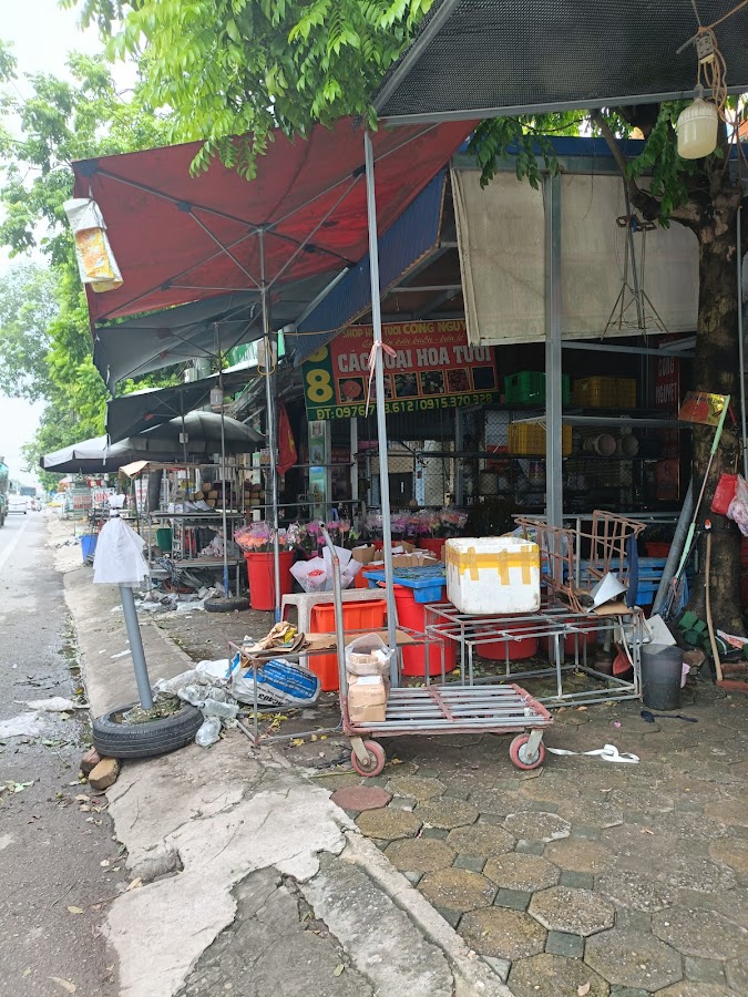 Chợ Hoa đầu mối