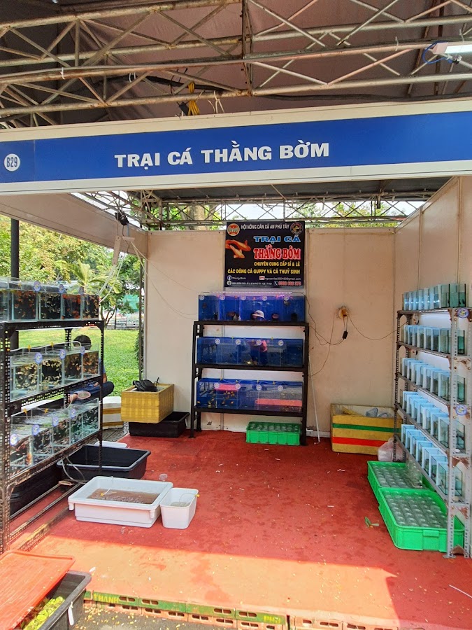Trại cá thằng bờm