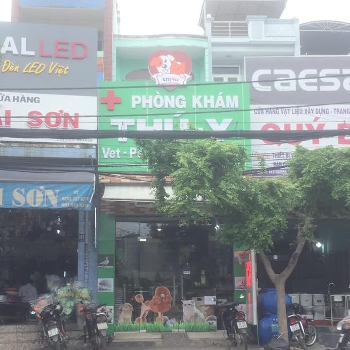 Phòng khám Thú - Y CityVet quận 12
