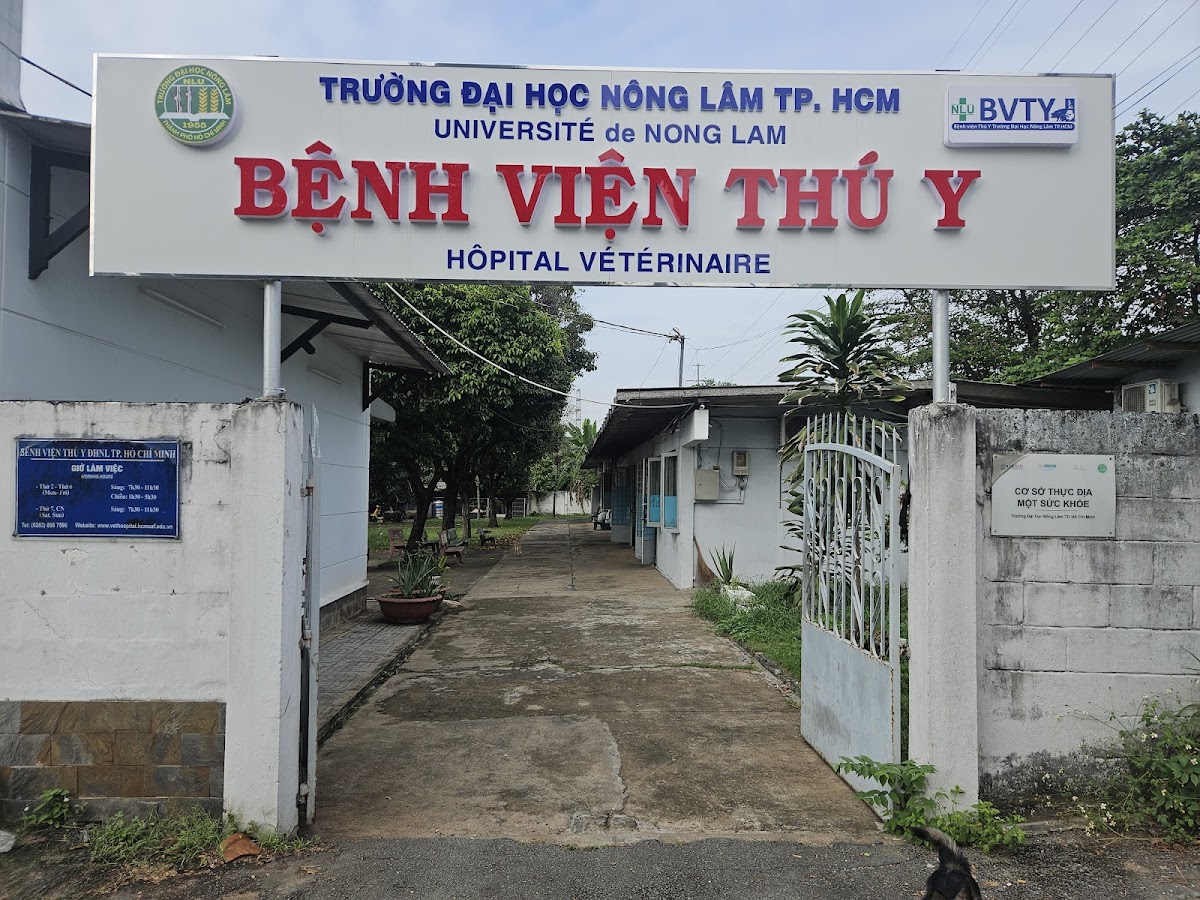Bệnh Viện Thú Y Trường Đại Học Nông Lâm TP. HCM
