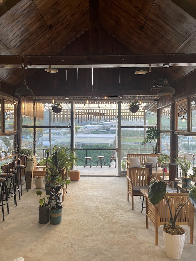Vườn dâu Dalley - coffee & tea