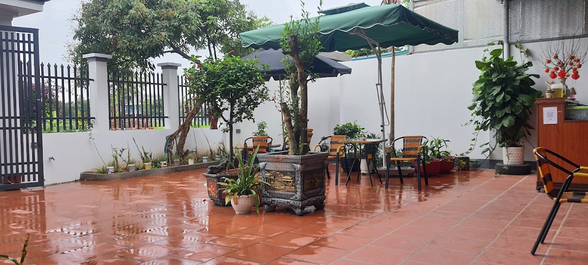 Kim Cương Hoa Lan