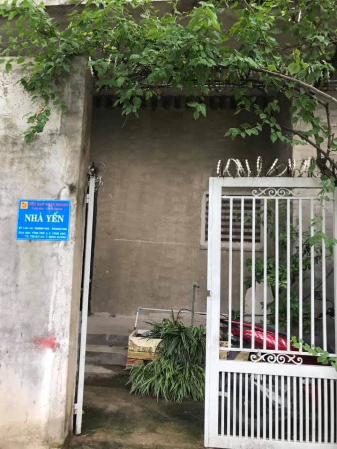 YẾN SÀO VTC