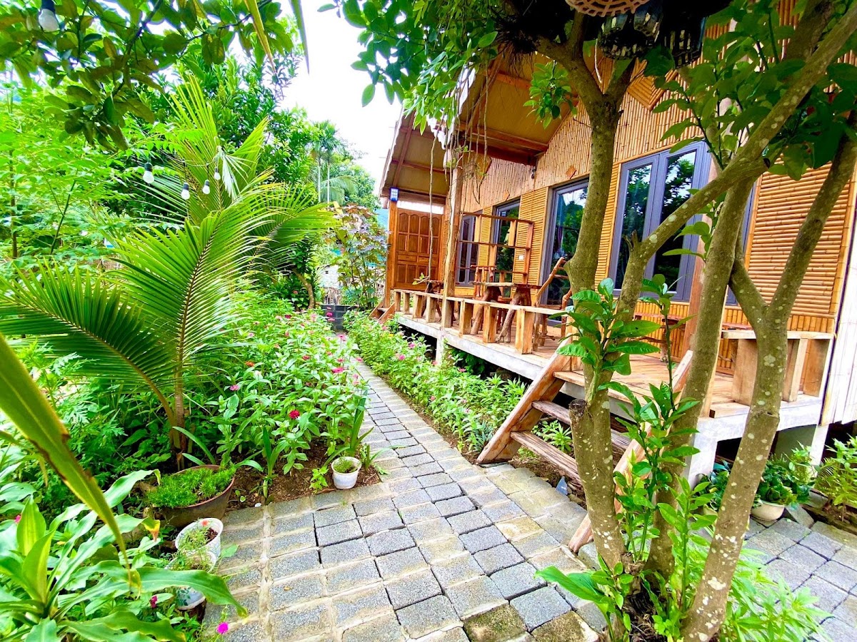 Mai chau rice fields homestay