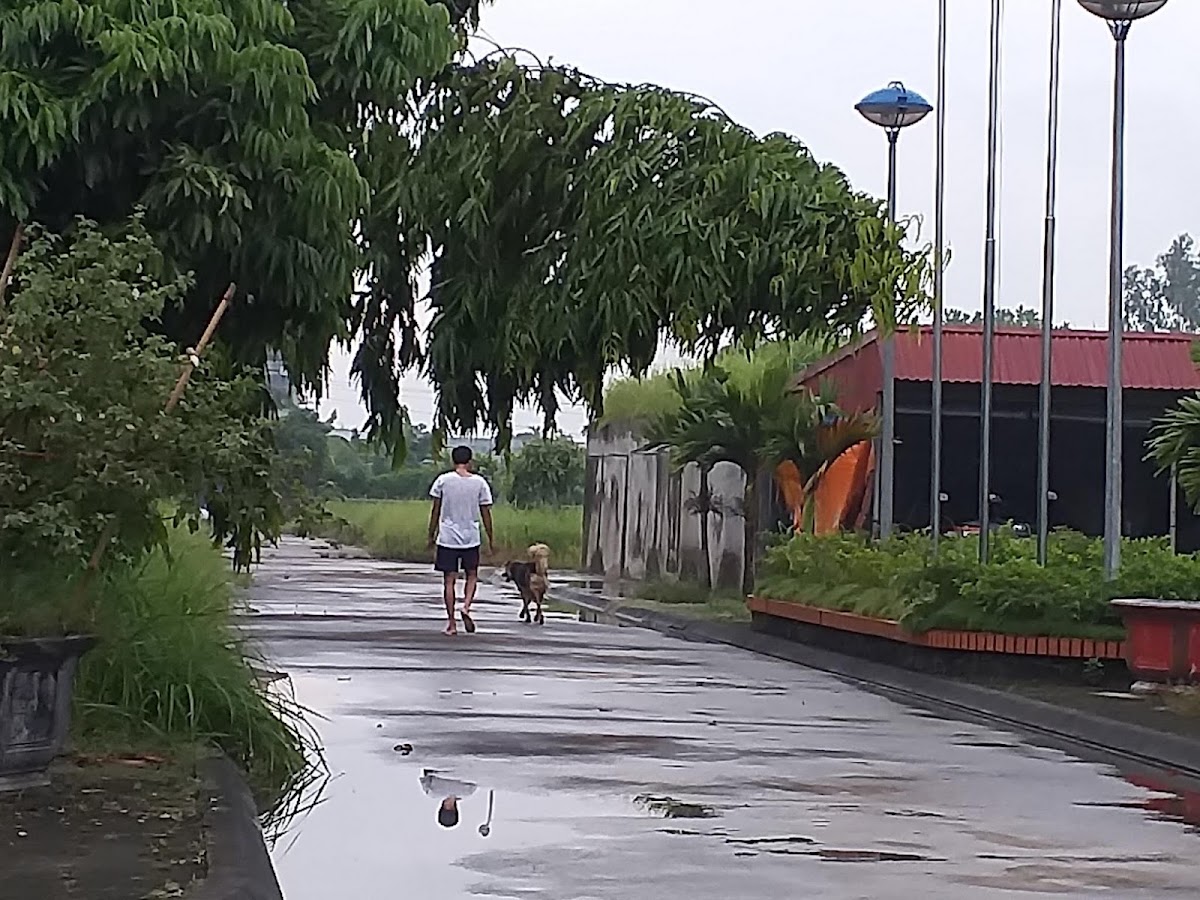 Nhà Máy Nước Sạch Tiền Trung, Viwaseen6