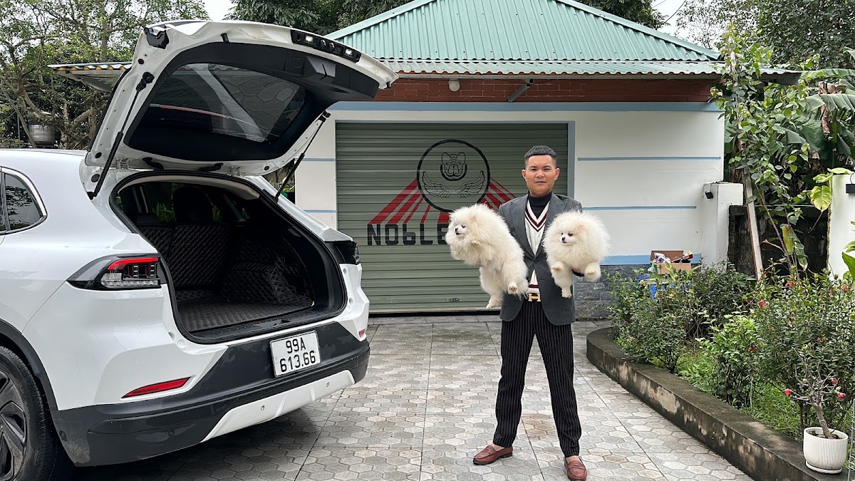 Gara Oto Phương Quỳnh