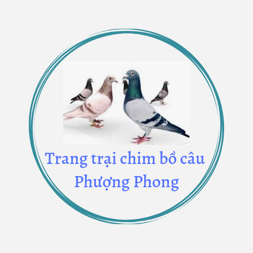 Trang trại Văn Hiệp