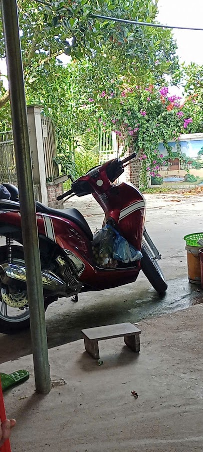 Tạp Hóa Gì Cũng Có