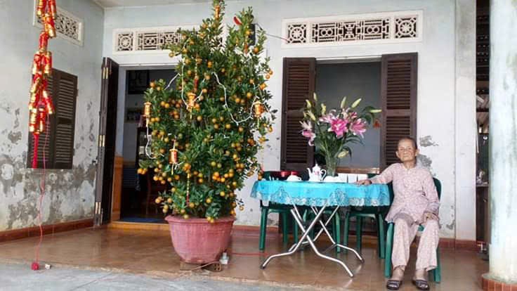 NPP Đinh Gia