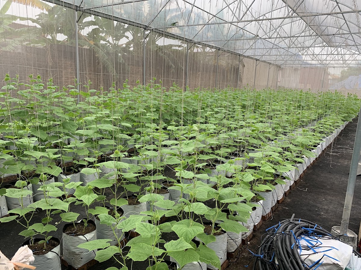 HTX Sản xuất VAC Tiến Thịnh