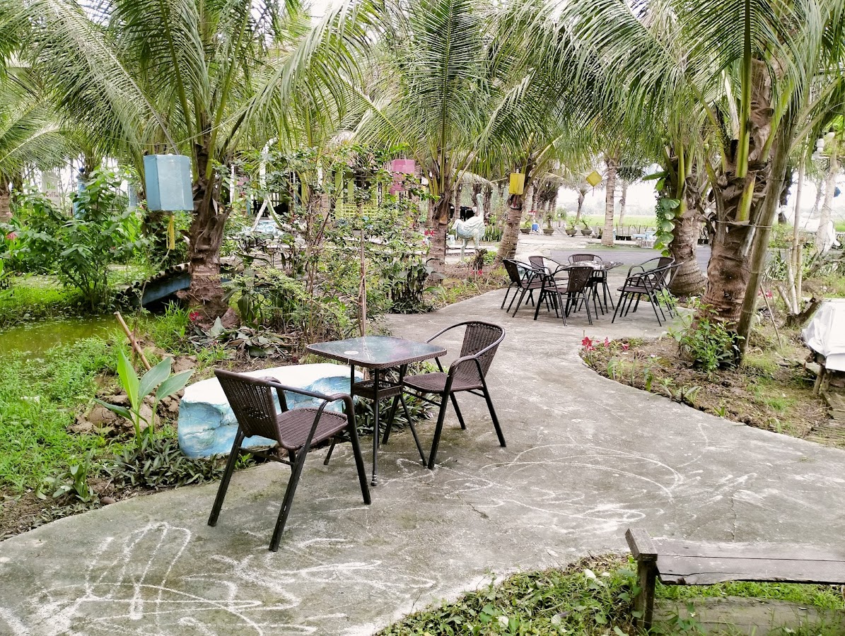 Dừa coffee
