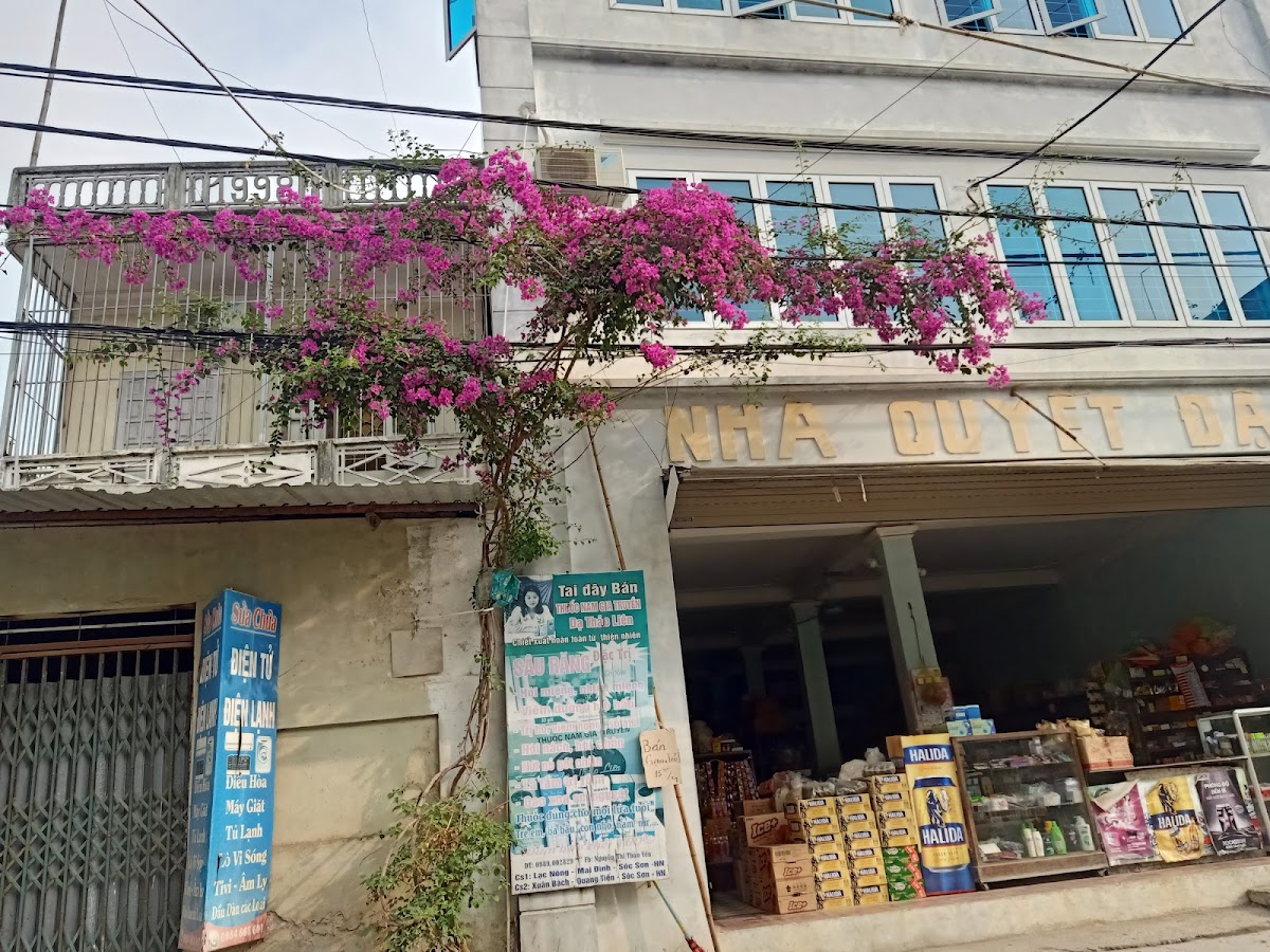 Tạp hóa Quyết Đậu
