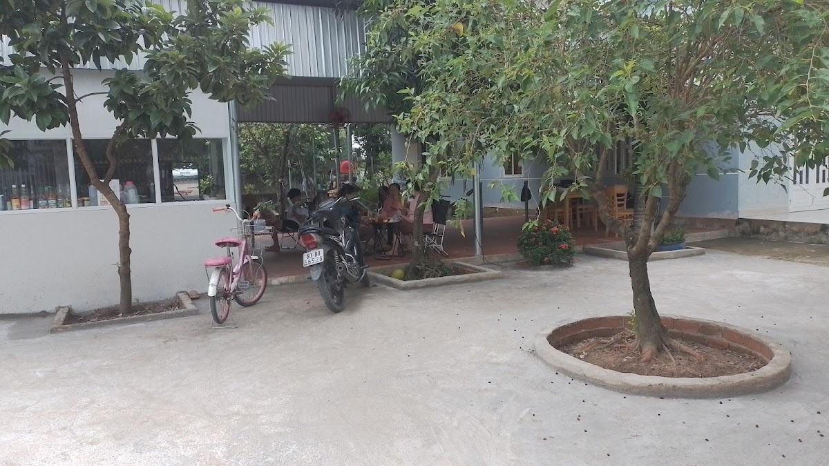 Coffee, tạp hóa thịnh mai