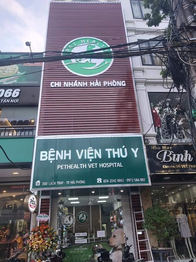 Bệnh Viện Thú Y PetHealth Hải Phòng