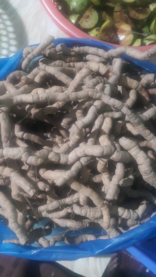 Cửa Hàng Tạp Hóa Thơi Kiềm