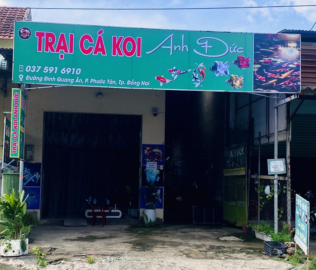 Trại cá koi Anh đức