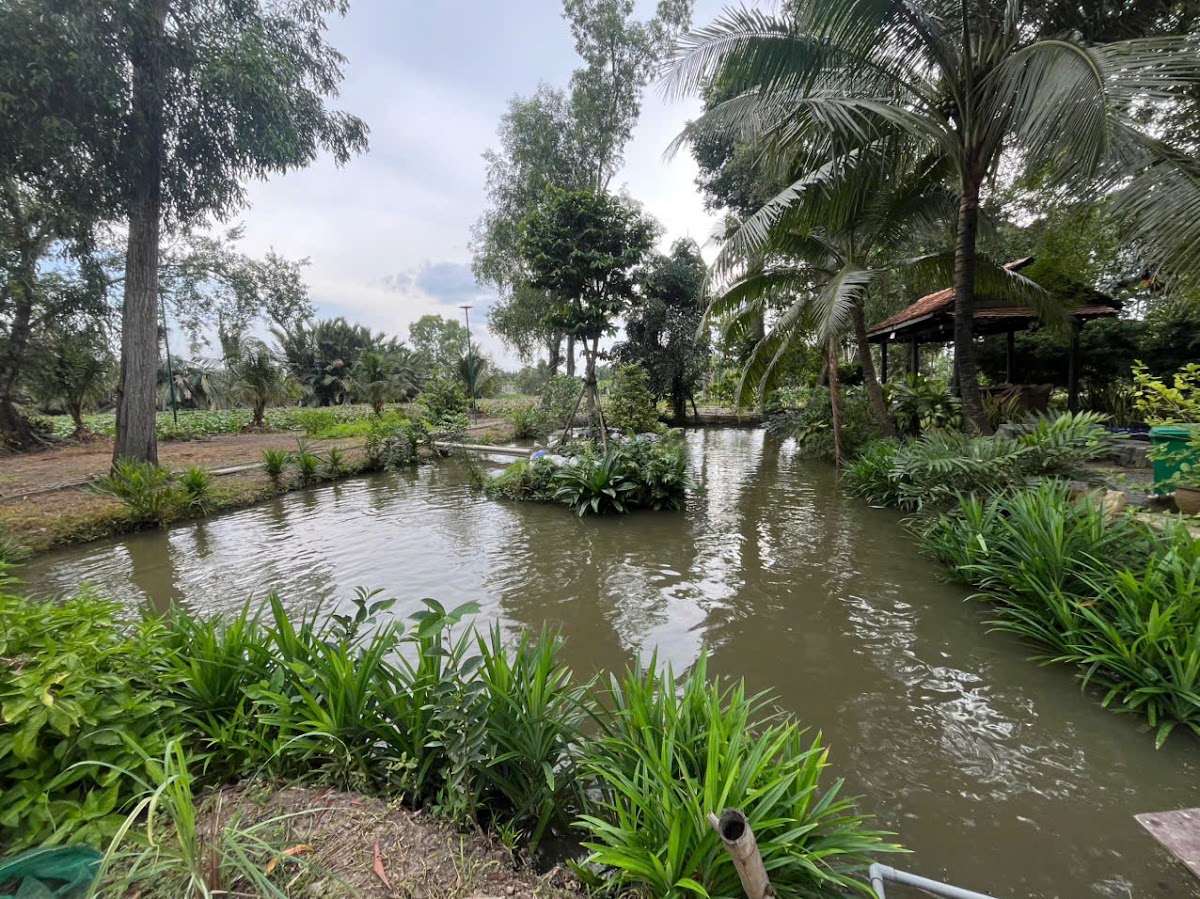 Windchimes Garden