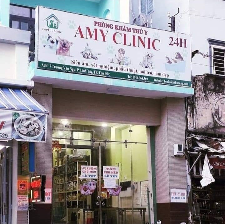 AMY VET CENTER - Trung tâm phẫu thuật chỉnh hình thú y Thủ Đức