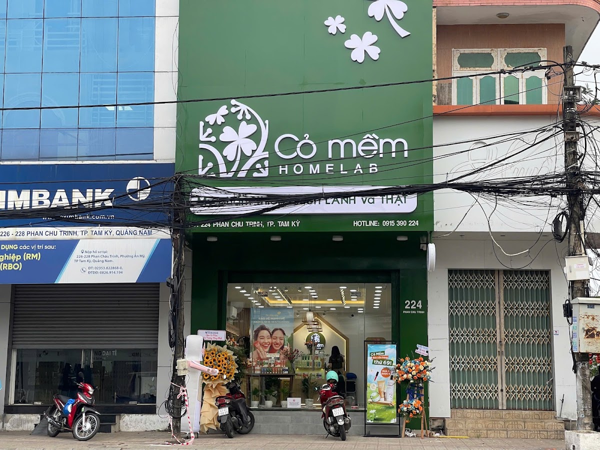 Cỏ Mềm HomeLab