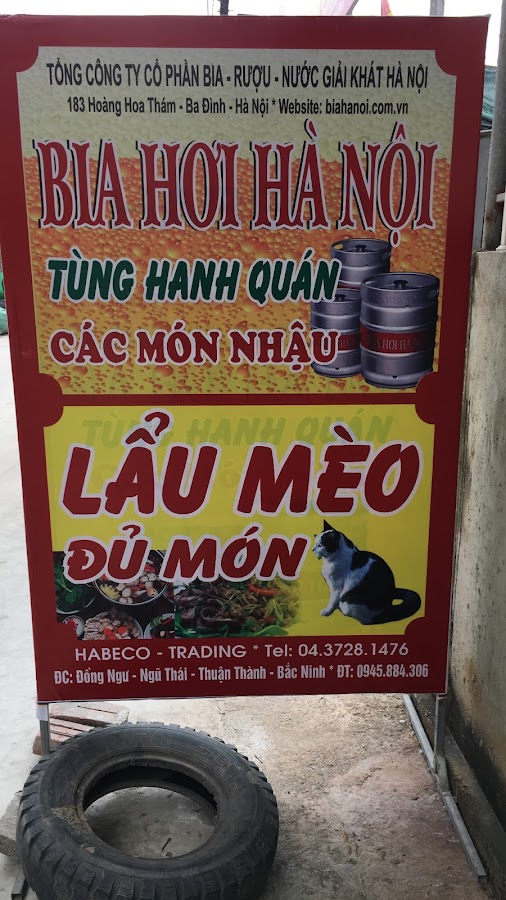 Bia Hơi Tới Quán