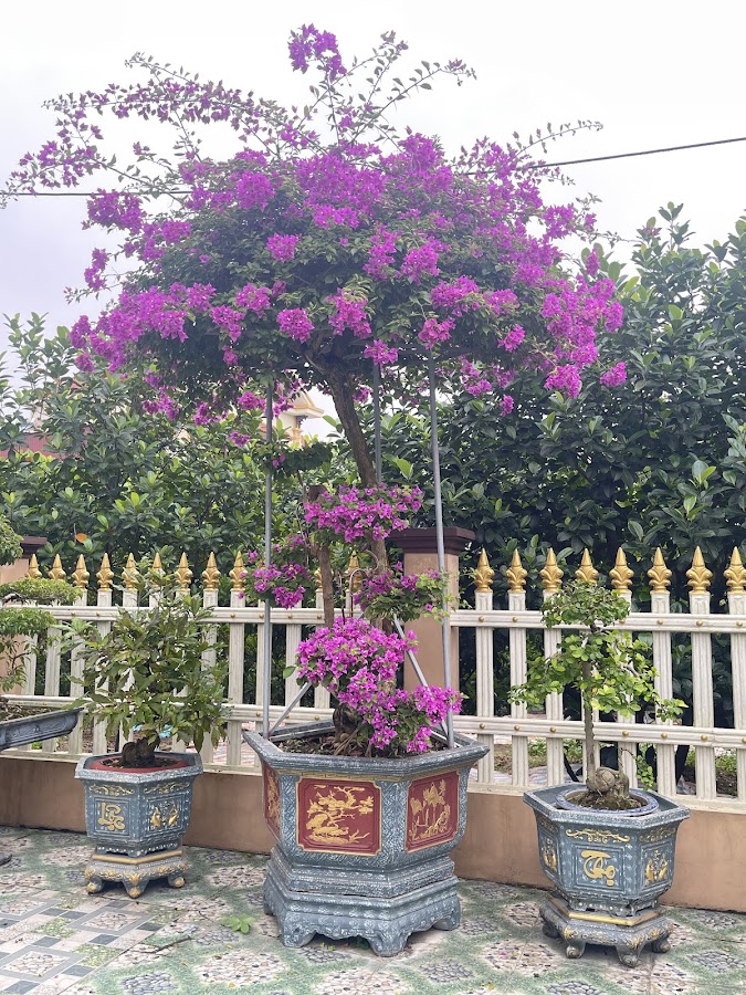 Tóc Nam BacHoang