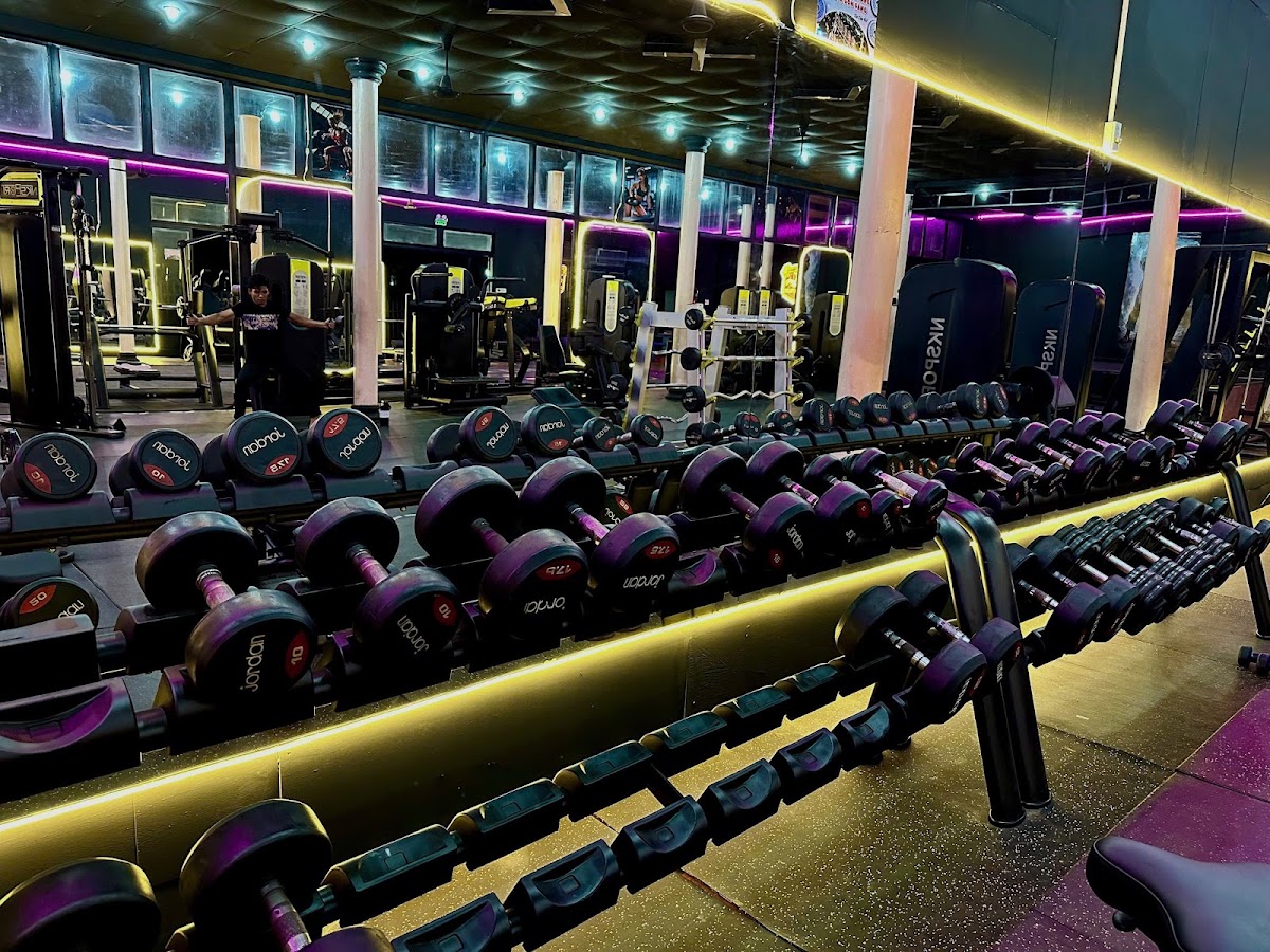 HLV FITNESS