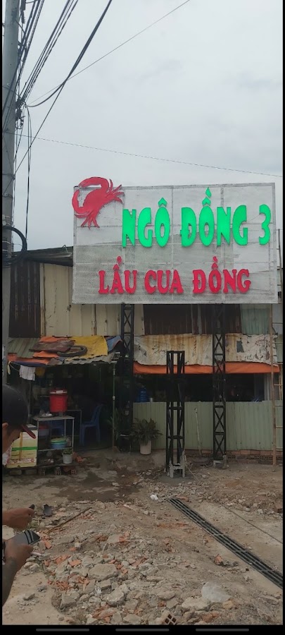Ngô đồng 3