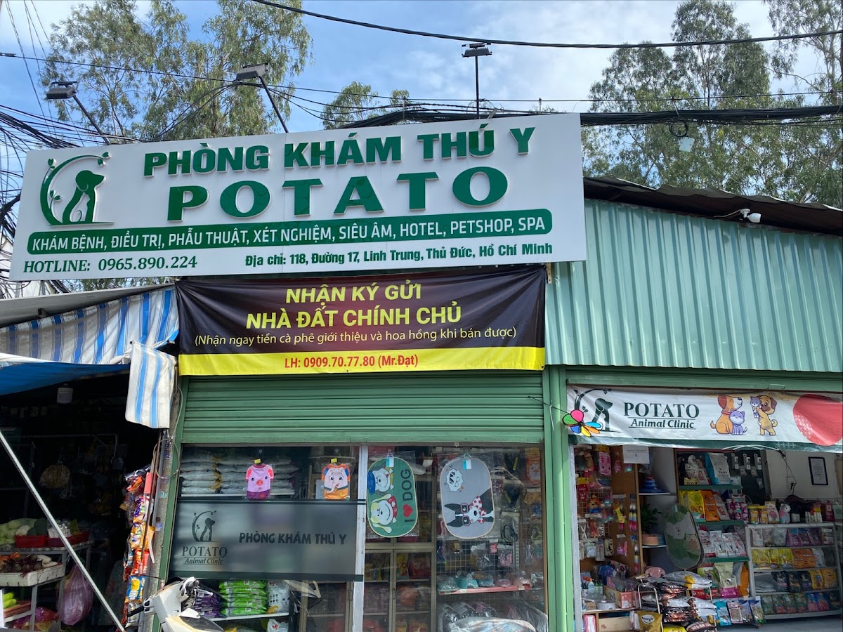 Phòng Khám Thú Y POTATO