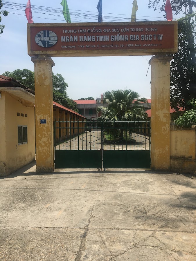 Trung tâm Giống Gia Súc Lớn Trung Ương
