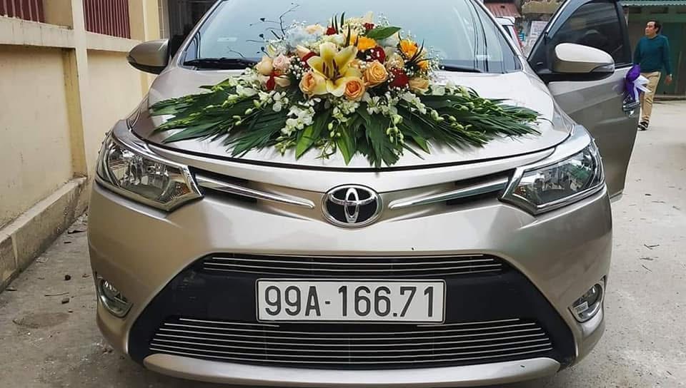 Tạp hoá Gấu Bông