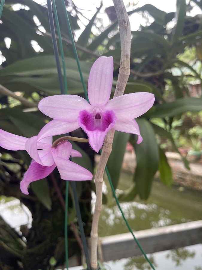 CÔNG TY TNHH THƯƠNG MẠI VẬN TẢI HUY HOÀNG