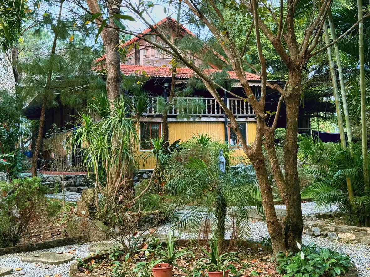 Vipassana Phú Cốc (Dhamma.org)