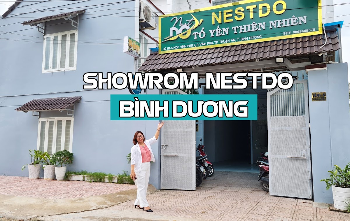 Nestdo - Tổ Yến Thiên Nhiên