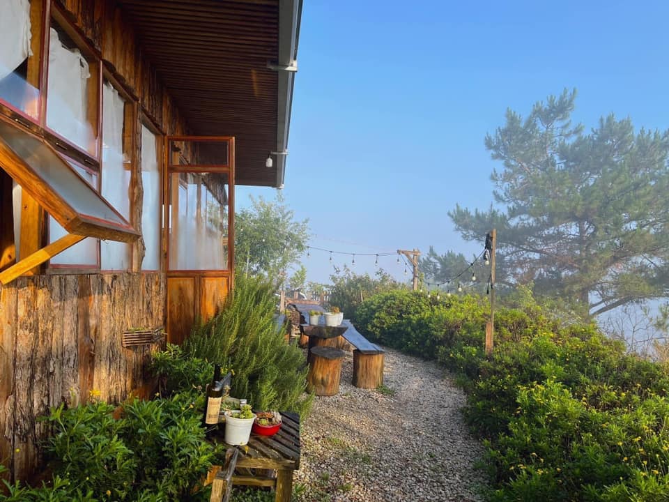 Túi Mơ - Homestay Đà Lạt