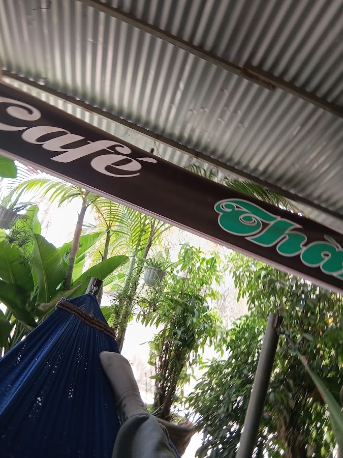 Cà phê võng Thành tín