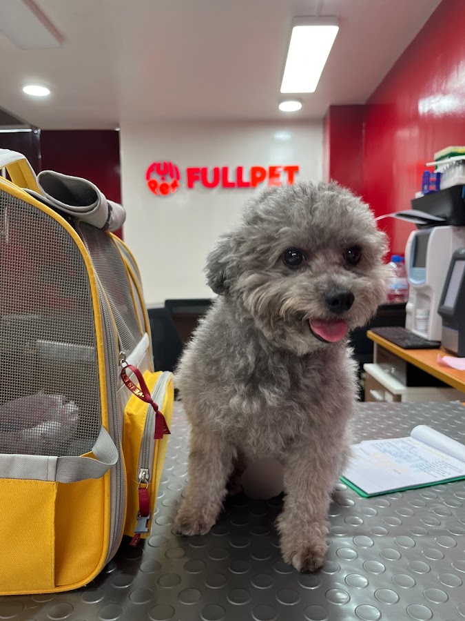 Thú Y FullPet Bình Thạnh