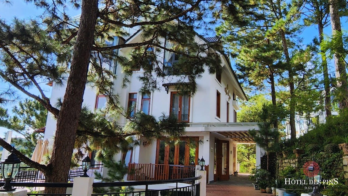 Hôtel DES PINS - Đà Lạt