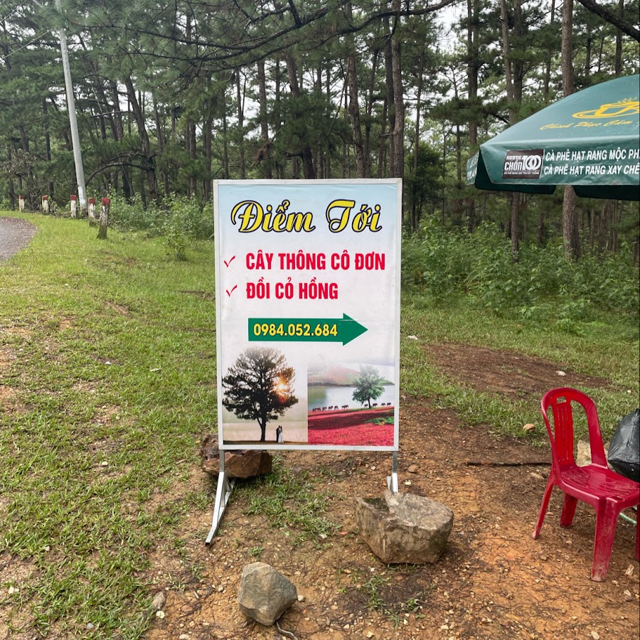 Bến Đò Cây Thông Cô Đơn - Dịch vụ Cắm Trại