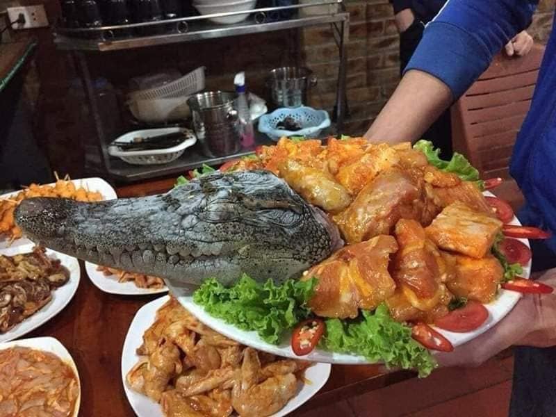 Thịt Cá Sấu Anh Đạo bán sỉ lẻ Hải Dương