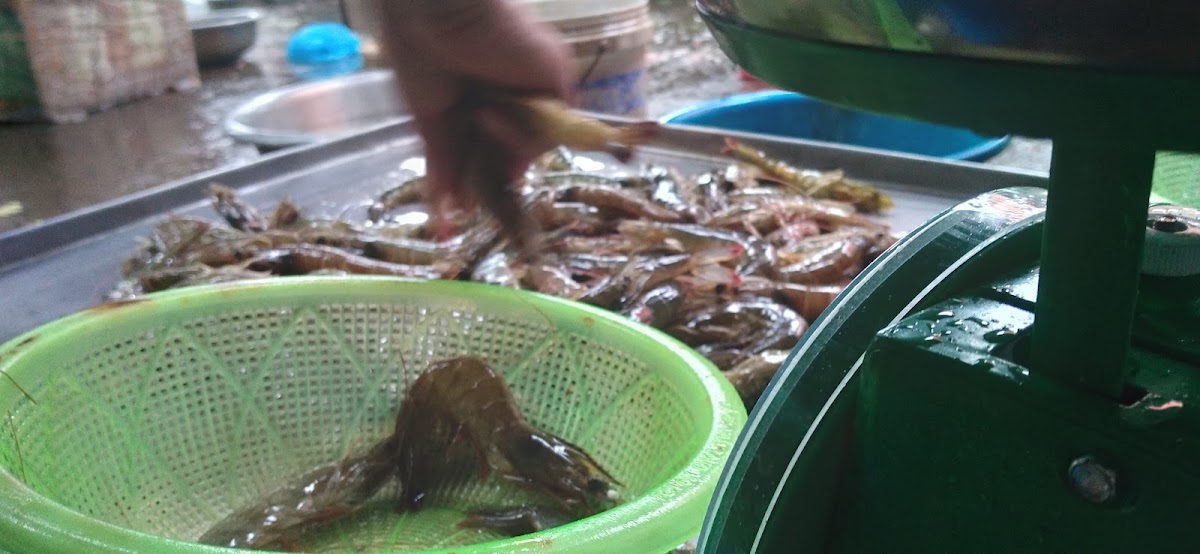 Hải sản biển Đài Lệ