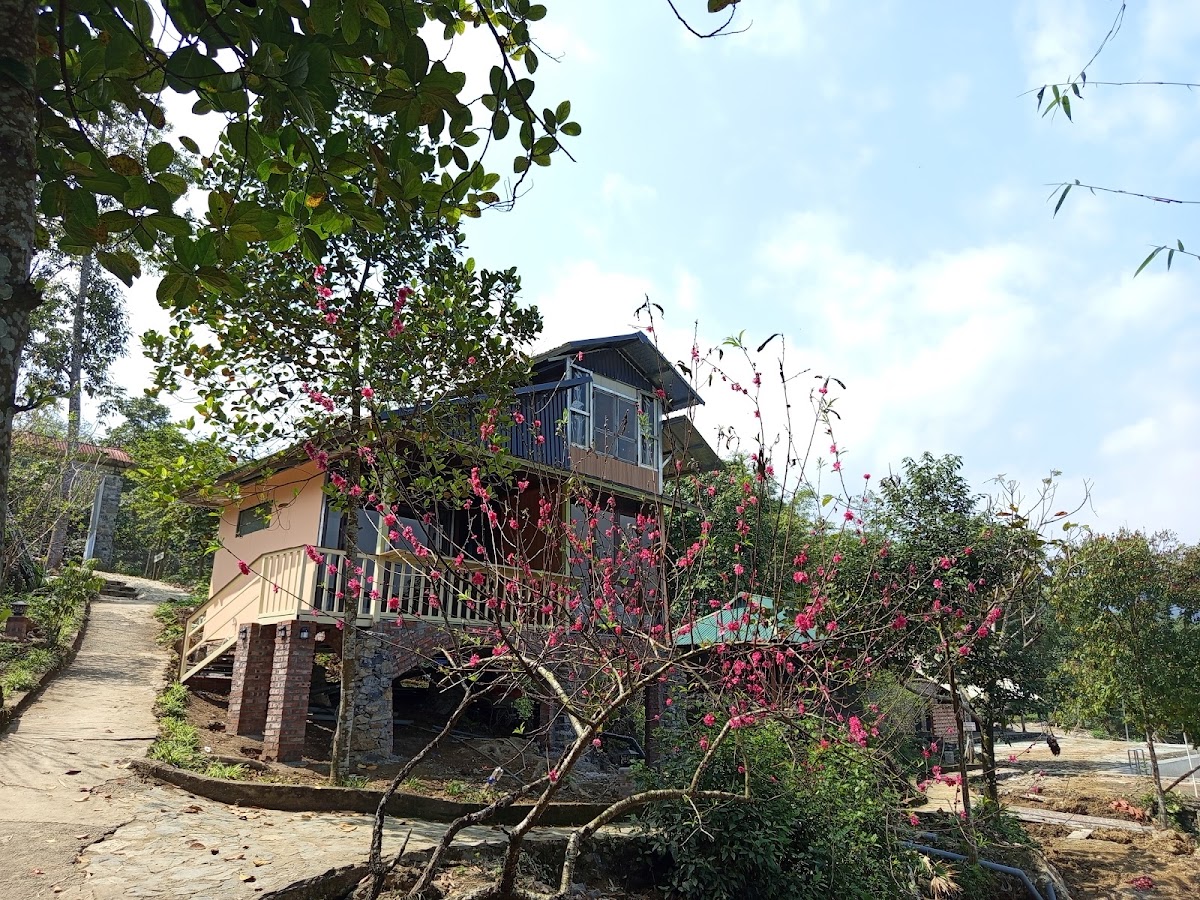 Đà Bắc Eco Lodge