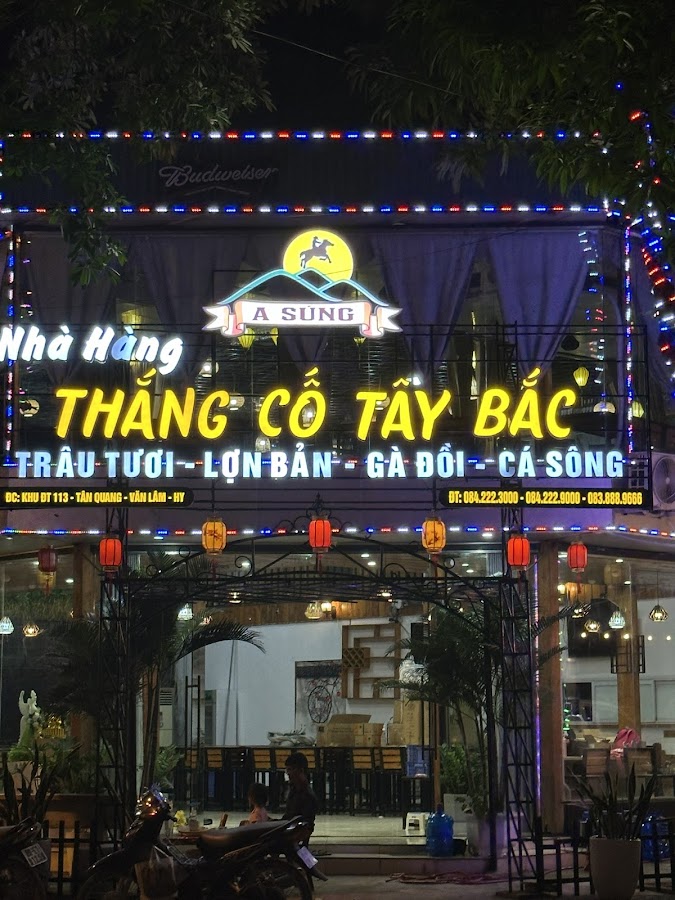 Thắng Cố A SÚNG