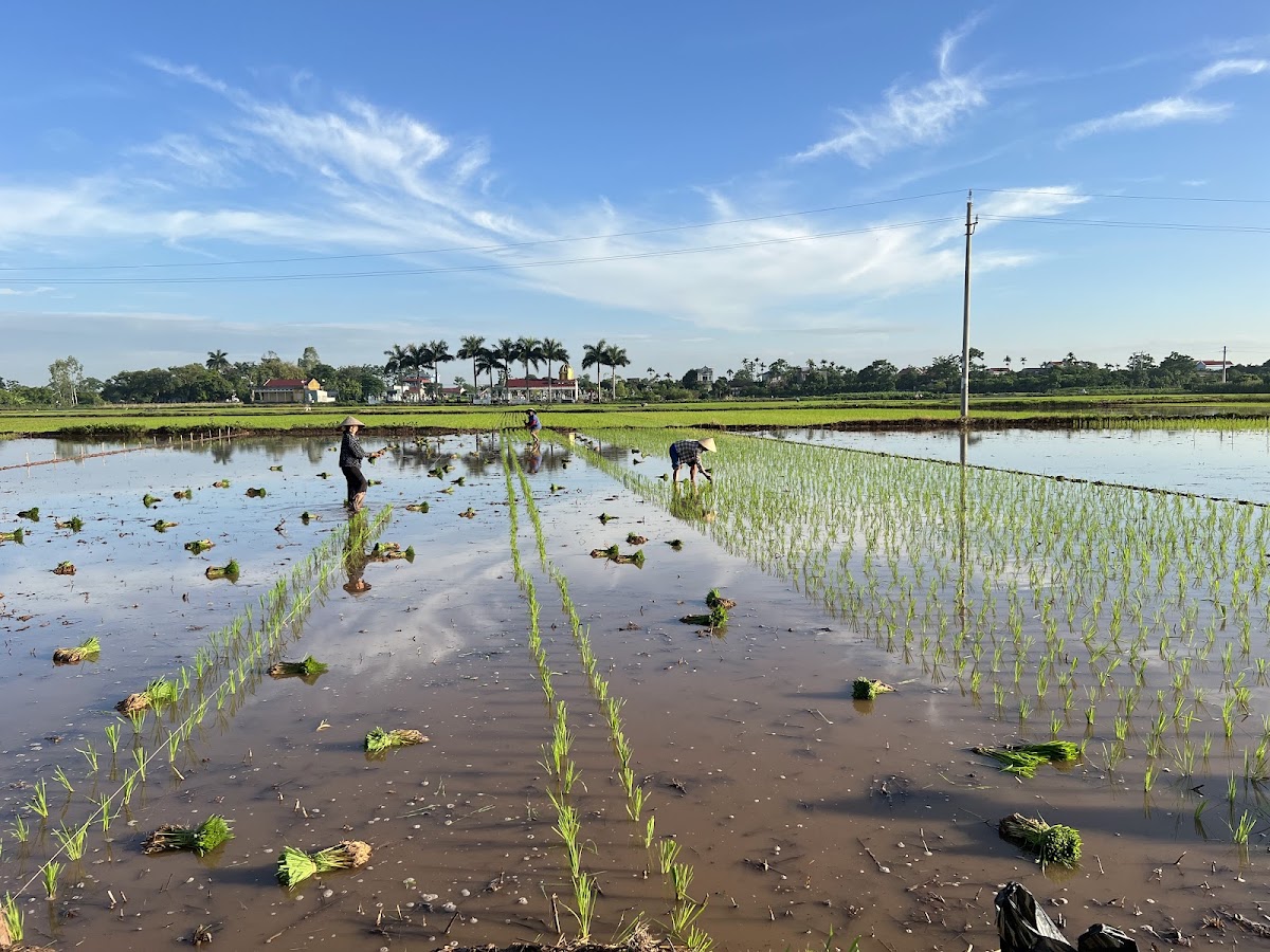 Tạp Hoá Thành Nam