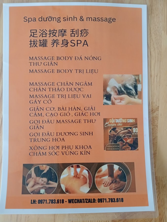 Dưỡng Sinh Tuệ Lâm