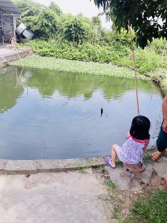 Hồ bơi Anh Hiếu