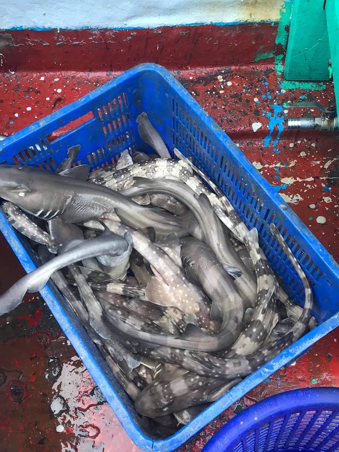 Nhà Hàng Hải Sản Gió Lào
