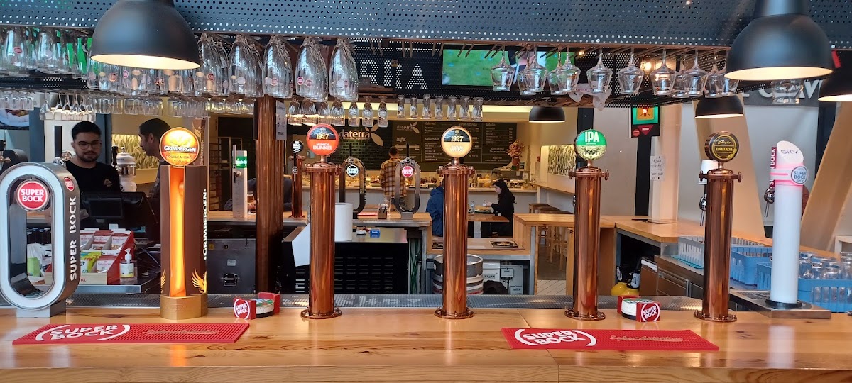 Beer Kingdom