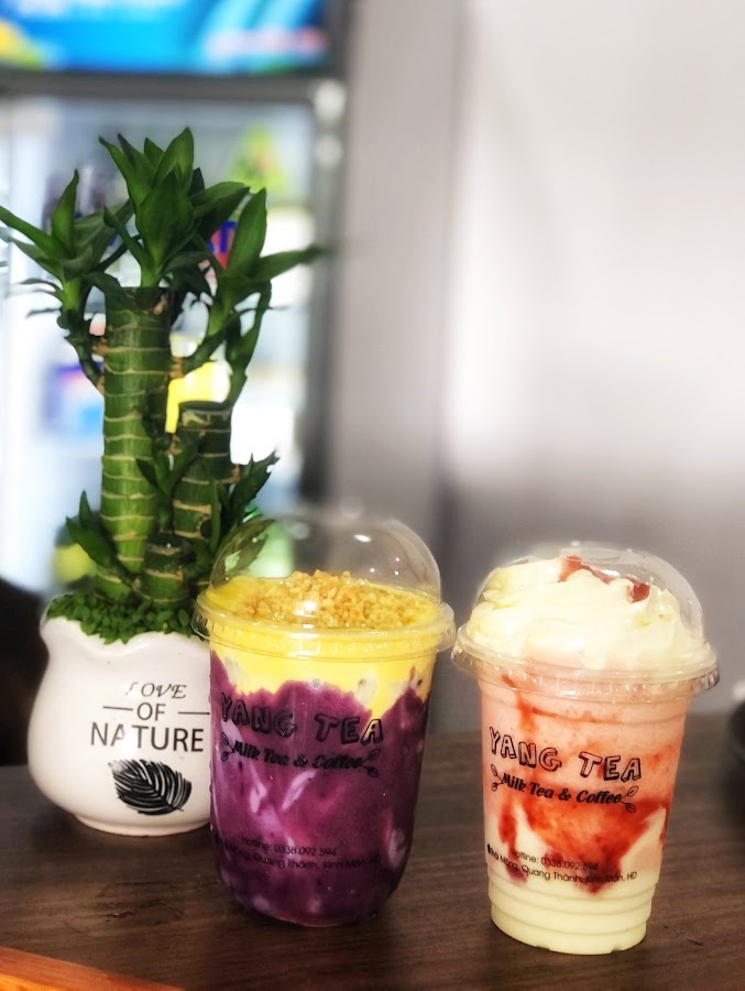 Yang tea &coffe Hải Dương